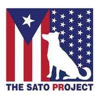 The+Sato+Project+Hi+Res+Logo