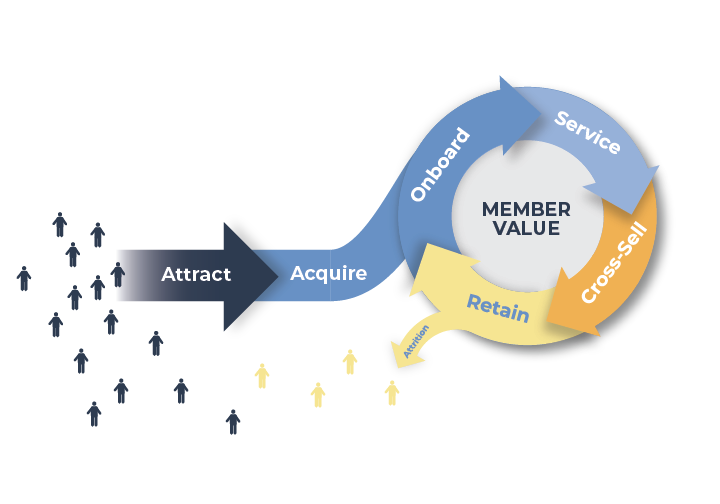 The Credit Union Member Lifecycle Journey