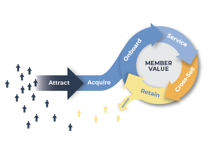 The Credit Union Member Experience Lifecycle